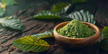 Fresh Kratom Perspectives Highlight Changing Preferences Across Botanical Product Markets